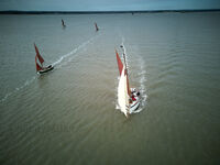 DJI 0028