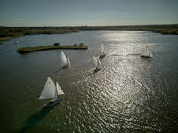 DJI 0024