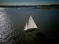 DJI 0042