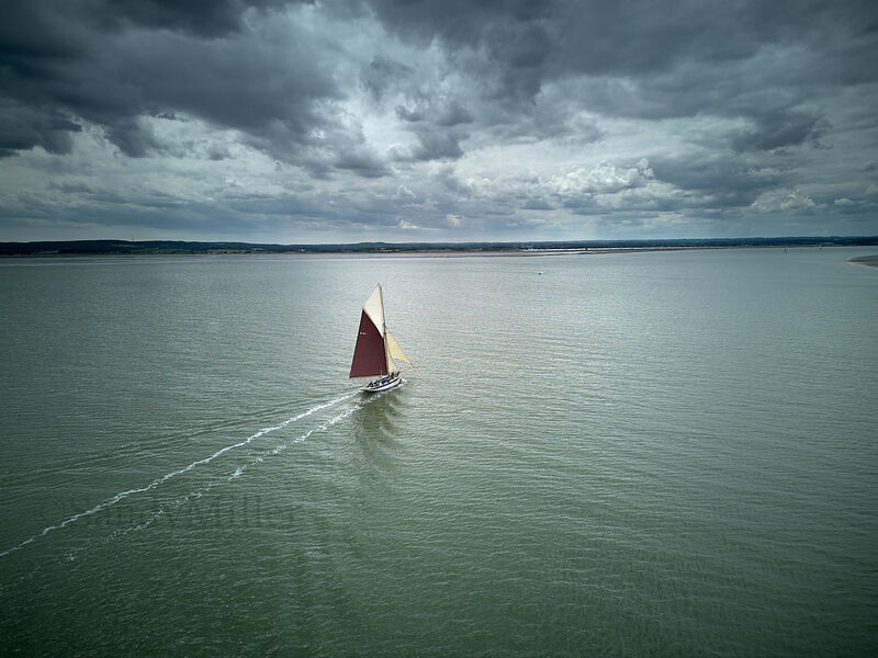 DJI 0082