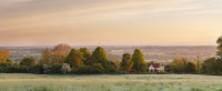 Highfields spring dawn