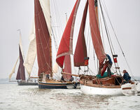 OGA East Coast Race