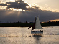 Gaffer at Maldon