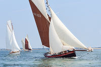 Ellen at Old Gaffers East Coast Race