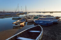 Tollesbury dinghies