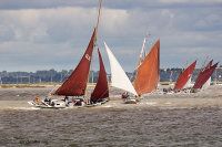 Charlotte Ellen et al