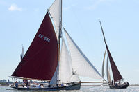 Charlotte Ellen