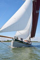 Charlotte Ellen