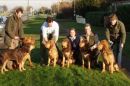 Defiant's 5 month-old Cammonstone puppies