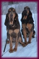 First visit to Sweden