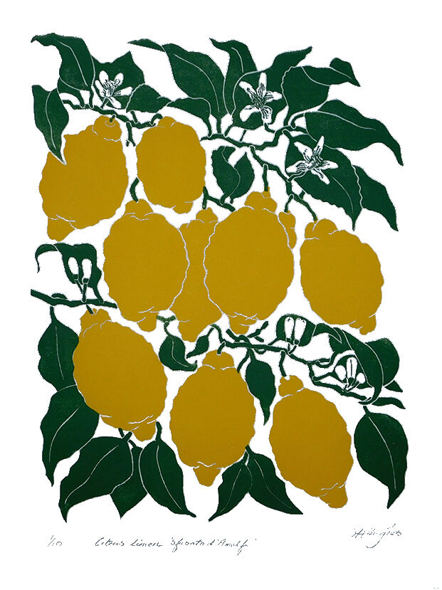 lemons, leaves