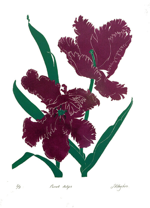 Parrot tulips