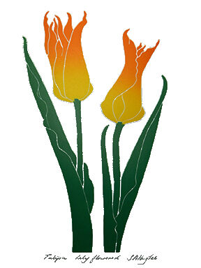 two lily tilip flowers and leaves