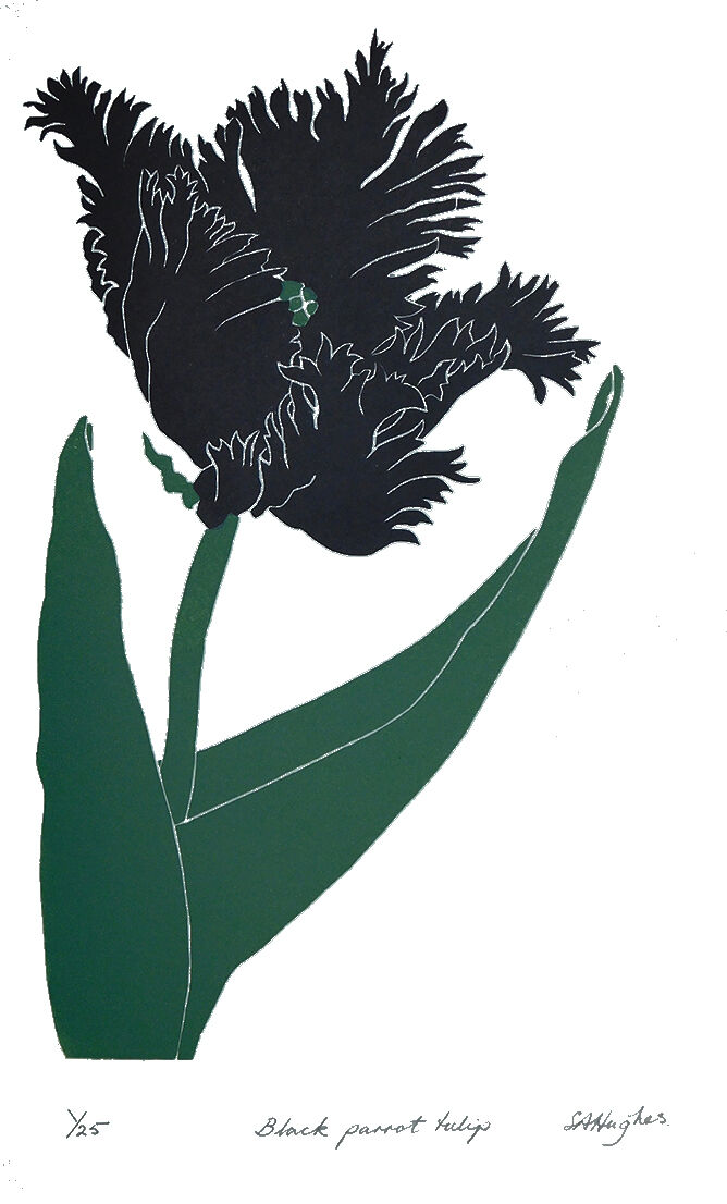 Black parrot