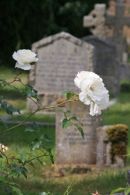 Churchyard, Heytesbury