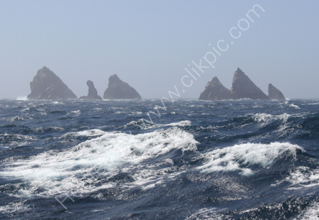 Shag Rocks