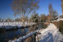 River Wylye in Winter