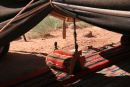 Bedouin Tent, Wadi Rum
