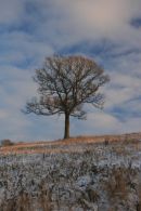 Christmas in North Somerset