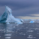 Iceberg in the Penola Strait