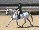 Prix St Georges Class