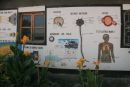 Wall in Masai School
