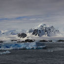 Scenery in the Argentinian Islands