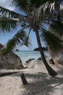 Beach in the Seychelles