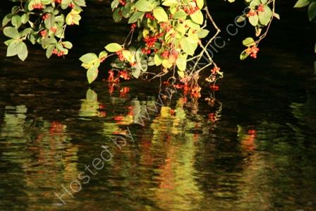 Autumn Reflections