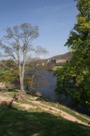 Chatsworth, Derbyshire