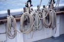 Coiled Lines