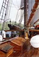 Deck of Soren Larsen