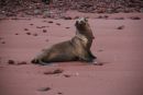 Ecuador & the Galapagos Islands