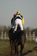 Jockey in a Point to Point