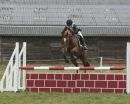 Show jumping at a Horse Trials