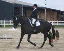Dressage Rider Winning