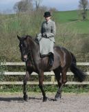 Showing Class Side Saddle