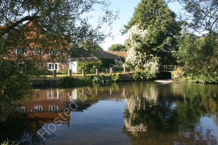 Mill Pool Reflections
