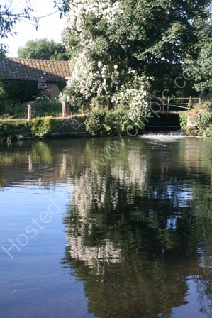 Reflections in Mill Pool