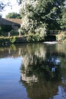 Reflections in Mill Pool