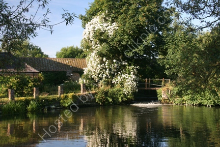 Early morning at the Mill Pool