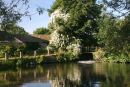 Early morning at the Mill Pool