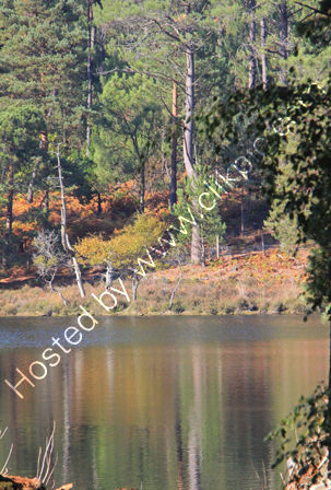 Brownsea Island in Poole Harbour