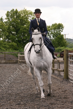 SSA Area 7 Show 2013