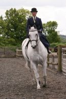 SSA Area 7 Show 2013