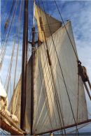Sailing in Noorderlicht