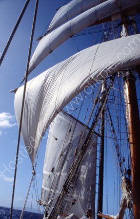 Sailing in Soren Larsen