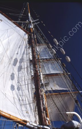 Soren Larsen with sails set