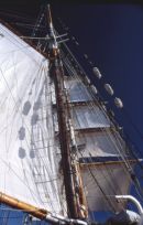 Soren Larsen with sails set