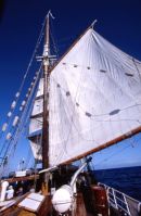 Soren Larsen sailing